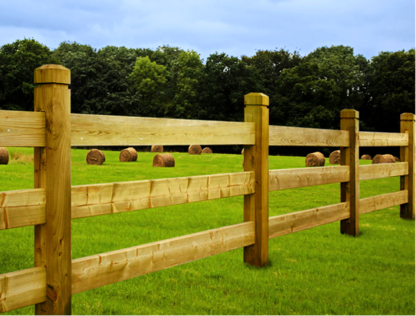 Fence Posts and Rails